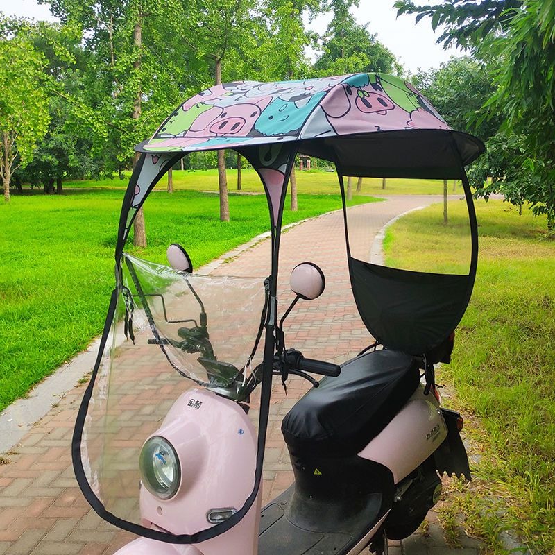 New Electric Scooter Rain Sun  - Electric Scooter Rain Cover 评论和价格