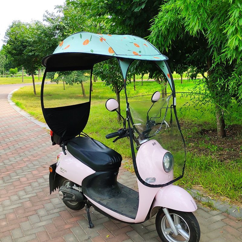 New Electric Scooter Rain Sun  - Electric Scooter Rain Cover 评论和价格