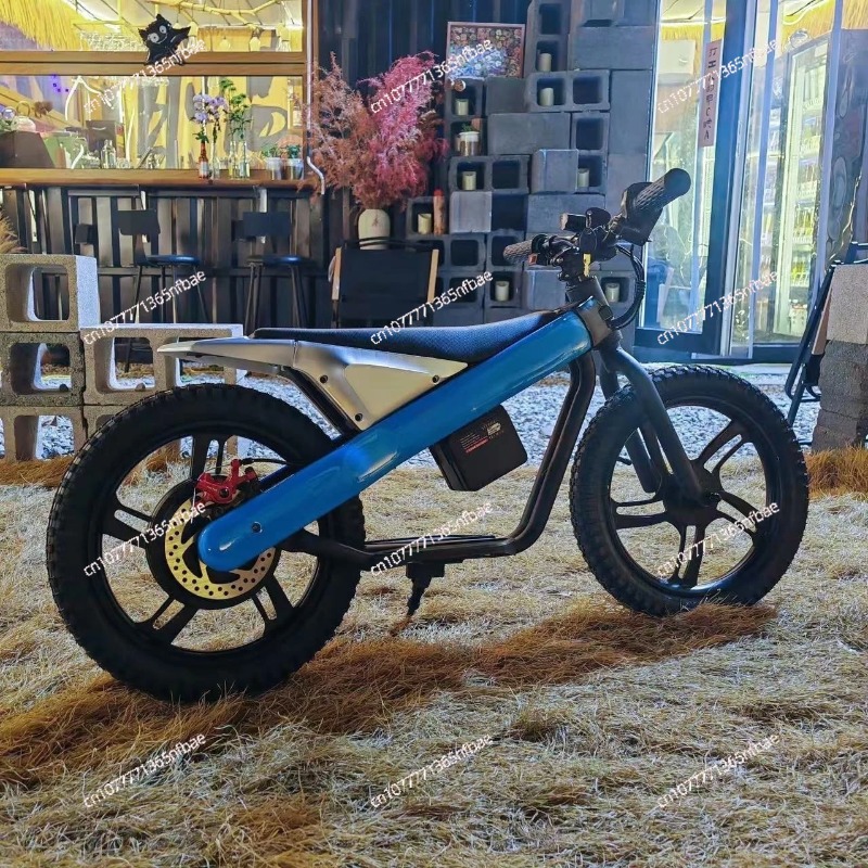 16 Inch Kids Electric Balance  - Kids Electric Scooter 评论和价格